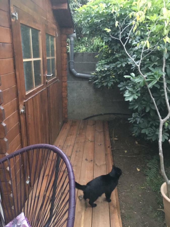 Le Chalet Dazae La Riviere Saint-Louis エクステリア 写真